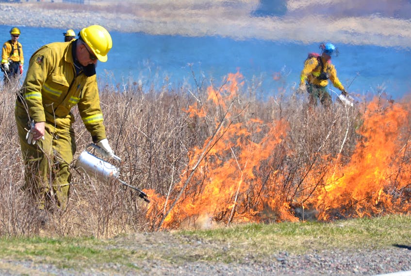 This file photo shows a Parks Canada employee taking part in a prescribed fire near the Fortress of Louisbourg National Historic Site in May 2015. A similar controlled is taking place at Warren Lake in Cape Breton Highlands National Park this week.