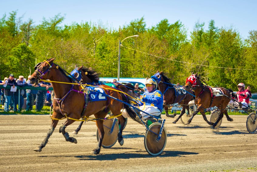 Driver Gerard Kennedy pushes Dreamfair Van Dam to the front of the pack in a race the Heather Hawkins-owned 14-year-old won in the fastest time of the day during Saturday's seven-dash card of harness racing at Northside Downs in North Sydney.