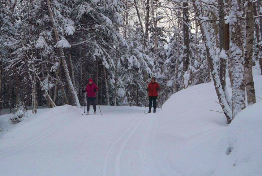 Two cross-country skiers are seen on one of the trails at North Highlands Nordic in Cape North, Victoria County earlier this month. Destination Cape Breton Association is promoting its winter season campaign largely on social media to get more people experiencing winter activities and taking short staycations around the island.