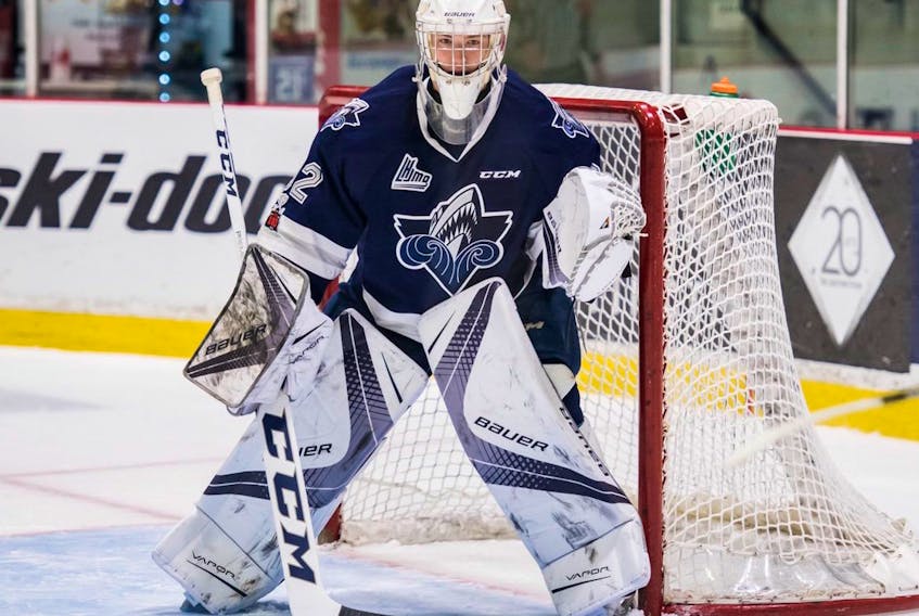 River Denys native Colten Ellis is having a tremendous rookie season with the Rimouski Océanic of the Quebec Major Junior Hockey League.
