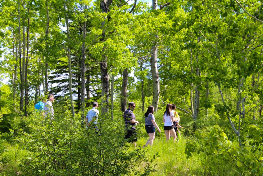 A tour group is shown making its way along the Green Link Trail as part of a Mi’kmaq Medicine Walk.