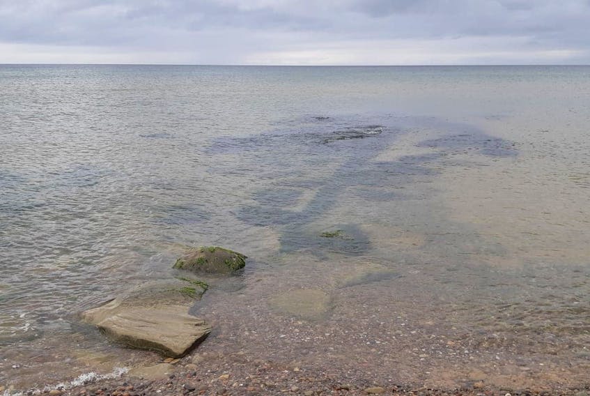 The sewage outfall for the community of Inverness feeds into the popular unsupervised beach area, the president of the Inverness Development Association says, which has been closed to swimming by the Department of Environment due to elevated bacteria counts.