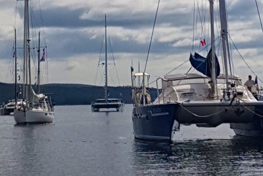 Several sailing boats and catamarans take part in the sailpast of Baddeck on Aug. 17, three days ahead of schedule.