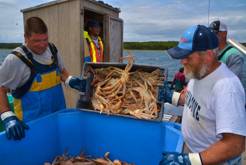 Workers unload snow crab at a wharf in Cheticamp recently.