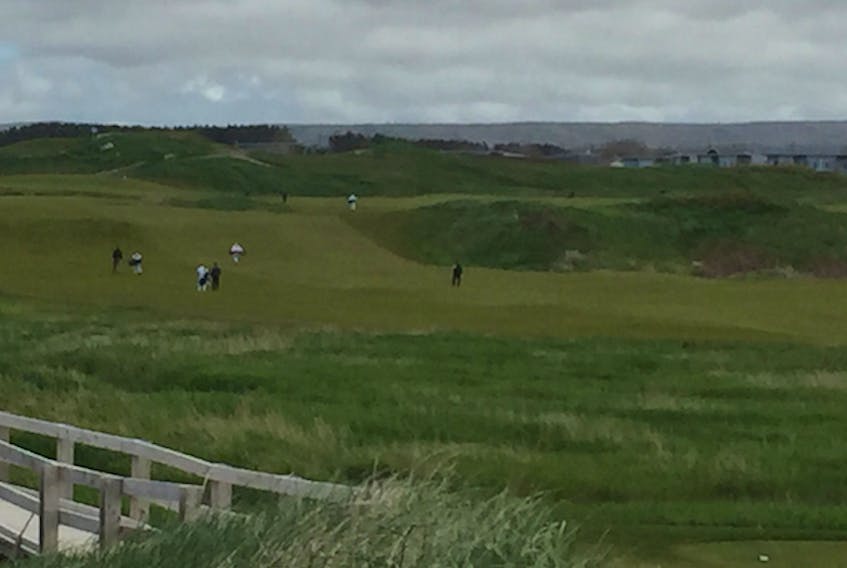 Several former politicians and businesspeople have added their glowing reviews on a proposal to build an airport near the community of Inverness. Cabot Links golf course, as seen in the photo, launched the website buildcapebreton.ca to lobby for the airport development that they say will bring in more traffic to western Cape Breton.