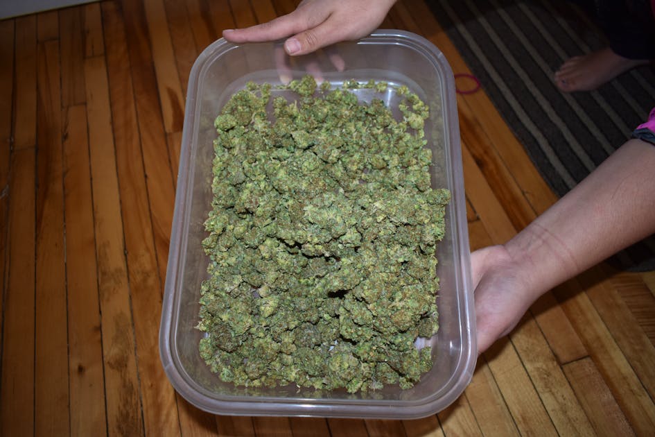 half a pound of weed