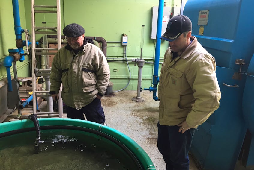 Stan Peach, left, treasurer of the Port Morien Wildlife Association, and Stephen Thibodeau, supervisor at the Fraser’s Mills Fish Hatchery in Antigonish, look over an incubation tank at the former municipal water treatment building in Sand Lake. The association leased the building from the Cape Breton Regional Municipality to hatch speckled trout eggs indoors.