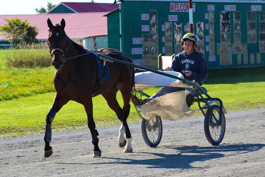 Jace Mercer exercises his horse W C Coast NY Phill at Northside Downs. He’s been involved with horses and racing for 11 of his 21 years.