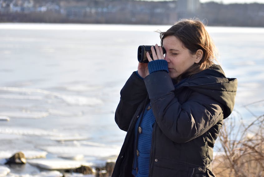 Jen Cooper, project manager at ACAP Cape Breton, uses a monocular to look at ducks in Sydney harbour. ACAP Cape Breton is hosting its annual Harbour Hop in Louisbourg on Saturday. The event — also referred to as a “sewer stroll” — takes participants to sewage outfalls where many of the ducks and gulls that overwinter in Cape Breton congregate.