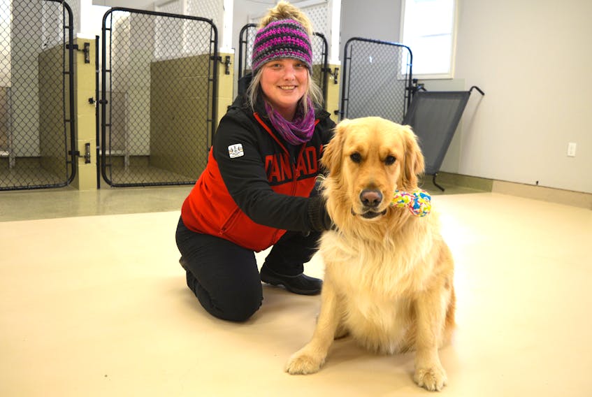 Erika Kerr, who owns BB’s Kennels with her husband Joel Peach, spends time with Sam, a two-year-old golden retriever owned by Sherri MacDonald of Sydney River. The business opened Jan. 19 and Sam is the first guest.