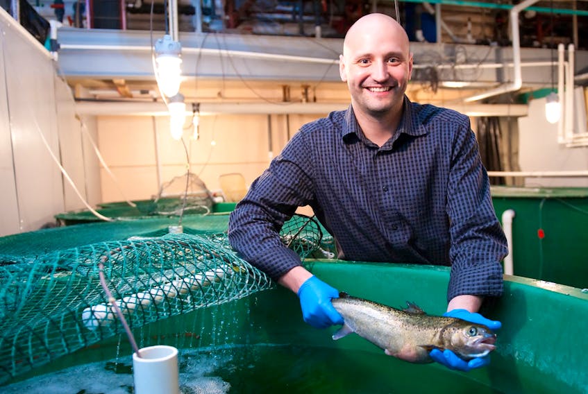 The Atlantic Veterinary College at UPEI is a leader in fish health research.