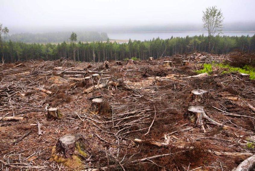 Any clearcuts authorized using the old Forest Management Guides should be rescinded, write Helga Guderley and John Himmelman.