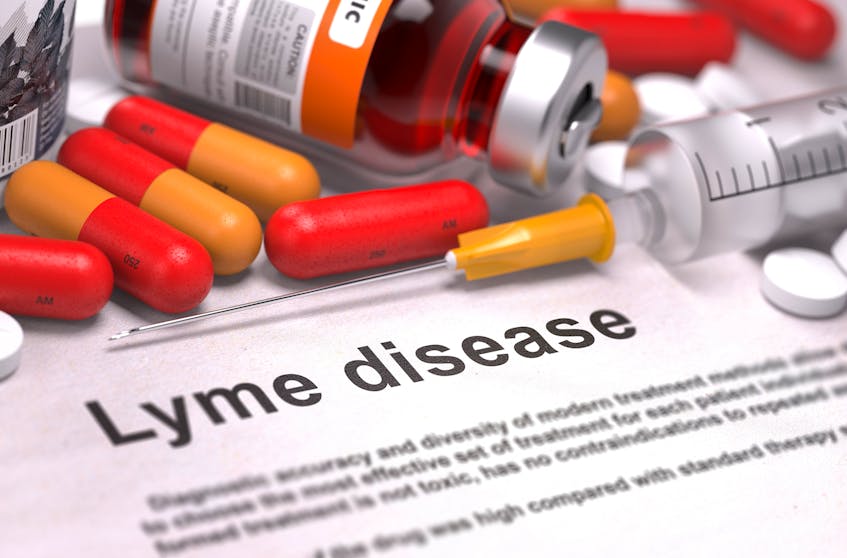 Lyme disease concept.
