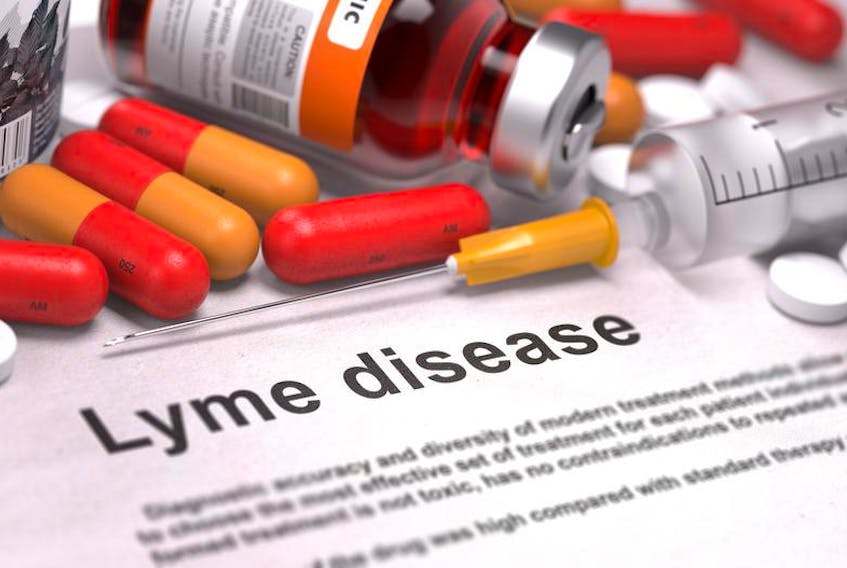 Various medications and a syringe arranged around an information sheet on Lyme disease.