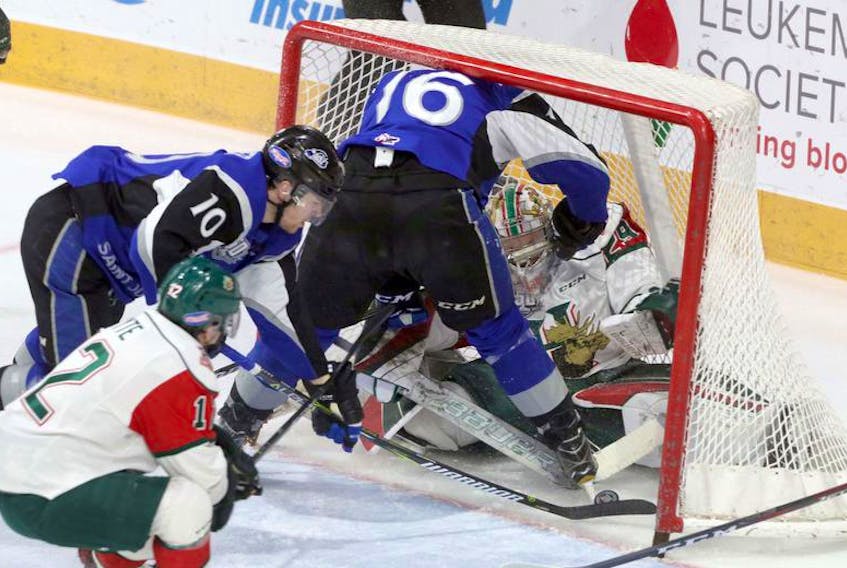Halifax Mooseheads goaltender Cole McLaren gets interfered with by Saint John Sea Dogs’ Nicholas Deakin-Poot (16) as teammate William Poirier tries to poke in a loose puck early in the first period of Friday’s game at Scotiabank Centre.