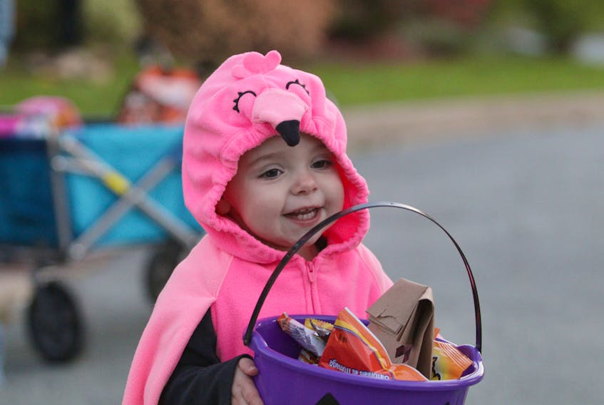 Ava Henley, 13 months at the time, dressed as a flamingo while trick-or-treating in Halifax in 2017.