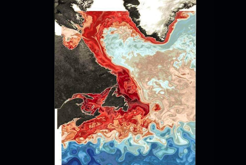 A computer model shows the triangle-shaped island of Newfoundland, center, at the eastern edge of the study area, the mouth of the Gulf of St. Lawrence. This graphic shows oxygen at the surface, where red shows more oxygen. - Mariona Claret/University of Washington