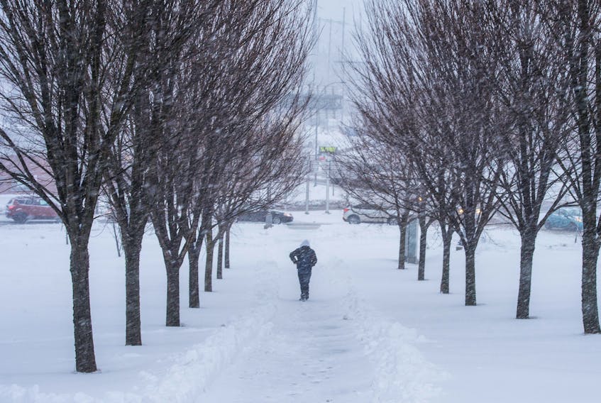A pedestrian trudges down a snowy sidewalk near the Armdale Rotary on Monday morning, March 4, 2019.
