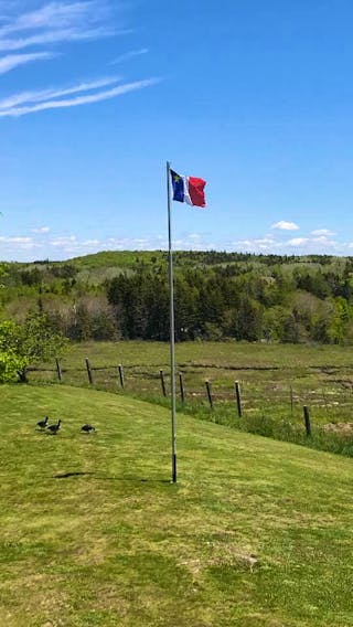 Brilliant sunshine and a light breeze kept the geese happy and the Acadian flag fluttering on a perfect day in Meteghan River, N.S.  Gilles Desautels snapped this photo just before 3 pm yesterday.  Gilles says it was a very comfortable 23 degrees – away from the water’s edge of course.