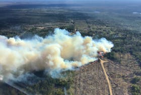 An aerial shot shows more than 20 hectares of land on fire in Chester Grant on Friday evening.