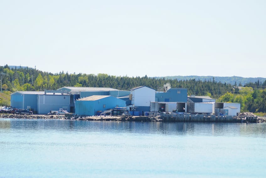 The Daley Brothers fish plant in New Harbour is not opening for the 2018 season. The plant is shown here in a 2012 file photo.