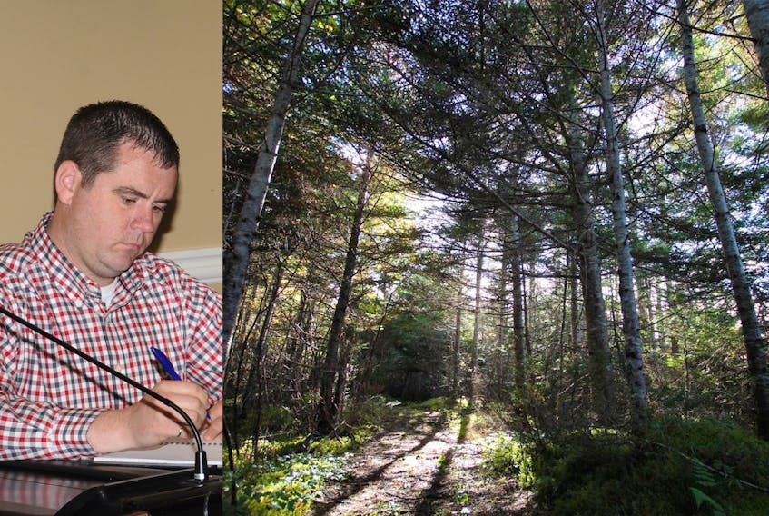 Coun. Kevin Costello (left) said Holyrood’s development regulations do not accommodate setting up a cannabis production site in a residential medium density zone. The 15-acre property on Salmonier Line for the proposed cannabis production facility, pictured on the right, is undeveloped and listed on the real estate market for almost $250,000. — Compass file photo/Hanlon Realty