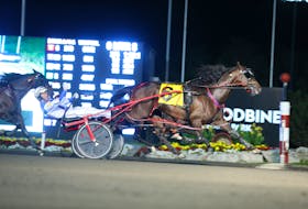 James MacDonald drove Courtly Choice to victory in the Canadian Pacing Derby Aug. 31 at Woodbine Mohawk Park in Campbellville, Ont. New Image Media