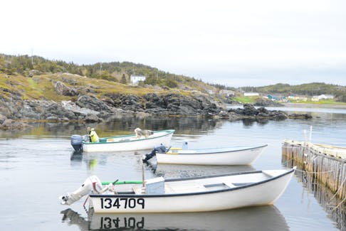 As the average age of inshore harvesters in the province increases, many in the province’s fishery say a need for new people prepared to take over enterprises is hitting a crucial point.