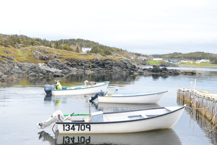 As the average age of inshore harvesters in the province increases, many in the province’s fishery say a need for new people prepared to take over enterprises is hitting a crucial point.