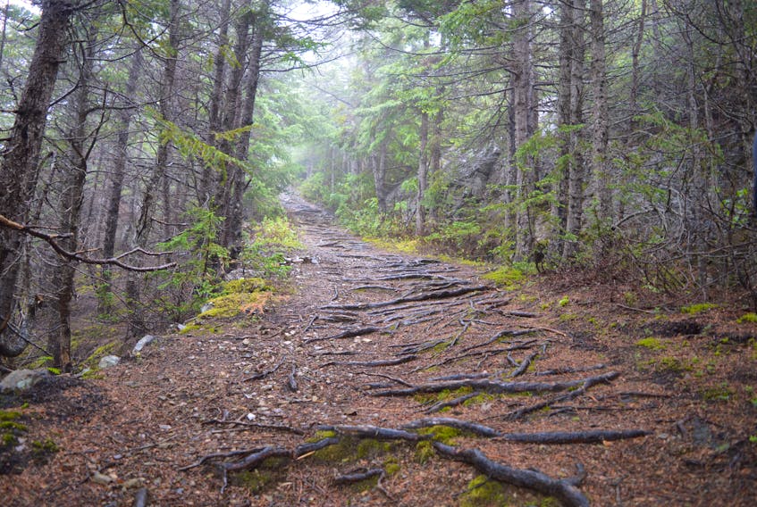 The Twillingate Regional Trails Committee was formed in late August of this year, between the Twillingate Islands Tourism Association and the Towns of Crow Head and Twillingate. The committee is still proceeding with its assessment of area trails this fall, but without trails in the Crow Head area.