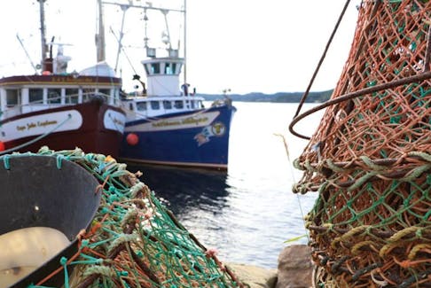 After a losing a herring license to what he calls an honest mistake with his online paperwork, fisherman Lloyd White hopes his story will serve as a warning for other harvesters to check and double-check their payments.