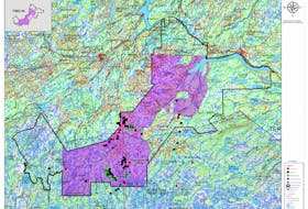 The shaded portion of the map represents the section of land the Miawpukek Mi'kamawey Mawi'omi are looking to obtain through the land transfer agreement it is seeking with the province of Newfoundland and Labrador.