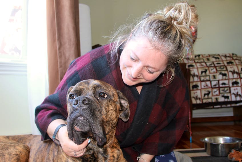 Rebecca Ann Blair is thrilled to have Charley back home. The young bull mastiff went through eight hours of surgery at UPEI recently.