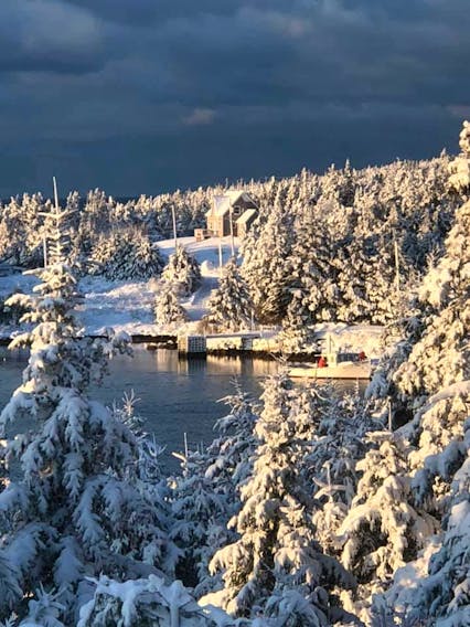 The midweek snowfall caused a lot of grief and it changed the look of the landscape.  This stunning photo was taken Thursday morning in West Pennant NS.  Nikki Gray’s timing was just perfect. The morning sun lit up the snow-covered trees as she watched the lobster fishermen head out for the day.