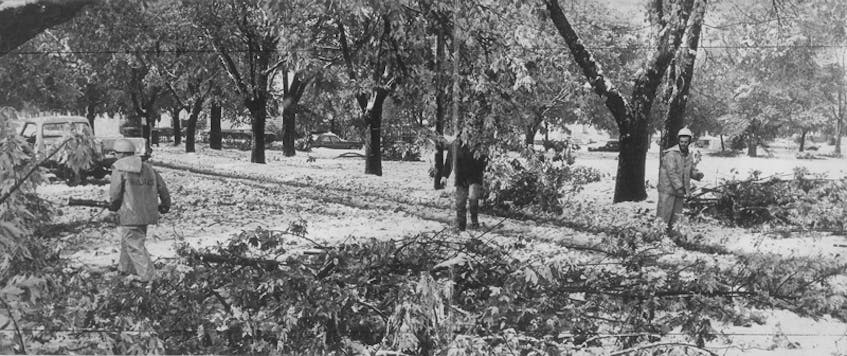 Winter prematurely swung across the Maritimes on Sunday, October 20th  1974.   A powerful nor’easter with winds gusting to 100 km/h, dumped 39 cm of snow on the Halifax area.  Leaves and twigs strewn throughout the Halifax Commons served as a reminder of the intensity of the blizzard.

Photographer:	Wamboldt-Waterfield