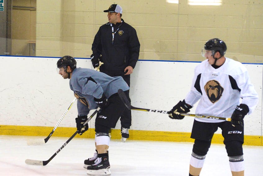 Ryane Clowe runs his players through drills at the Newfoundland Growlers' training camp back in October. Because of concussion-related issues, Clowe has had to resign as Growlers' coach, a job he wanted badly.