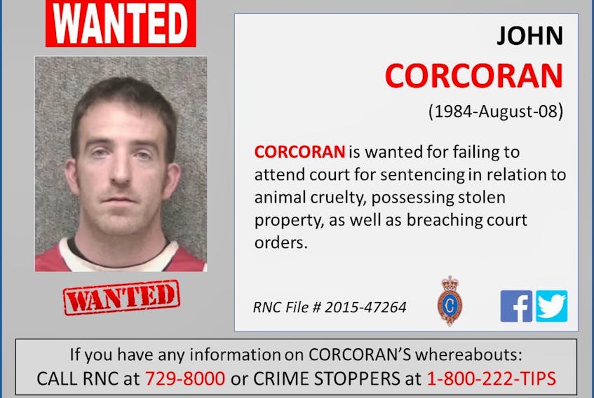 Police are searching for John Michael Corcoran, who was convicted of charges that include animal cruelty, but skipped out on his sentencing last week at provincial court in St. John's.