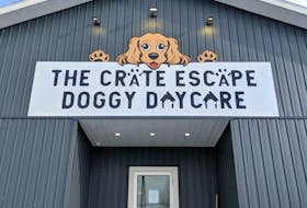 The front door and sign of the Crate Escape Doggy Daycare located on Keltic Drive.