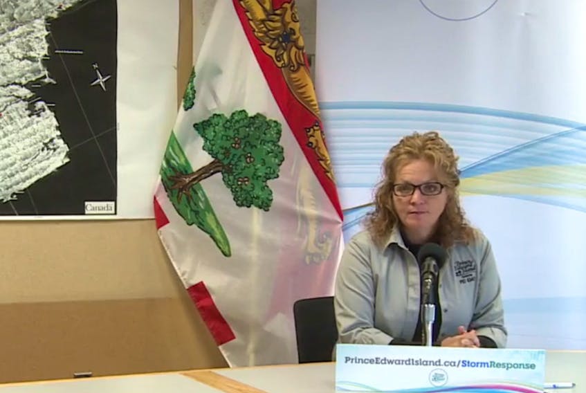 P.E.I. Emergency Measures Organization coordinator Tanya Mullally during a media briefing Tuesday.