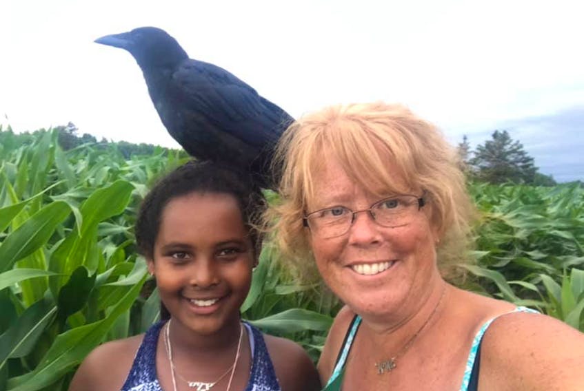 Konjo, a crow, is shown with Maya Mundle and her mother, Jill. Konjo was euthanized by a Lands and Forestry officer on Tuesday. Jill Mundle photo