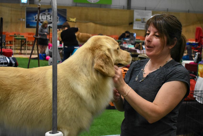 Nancy Landry of Quebec and her dog Rose took part in the dog show at Stellarton this past weekend.
