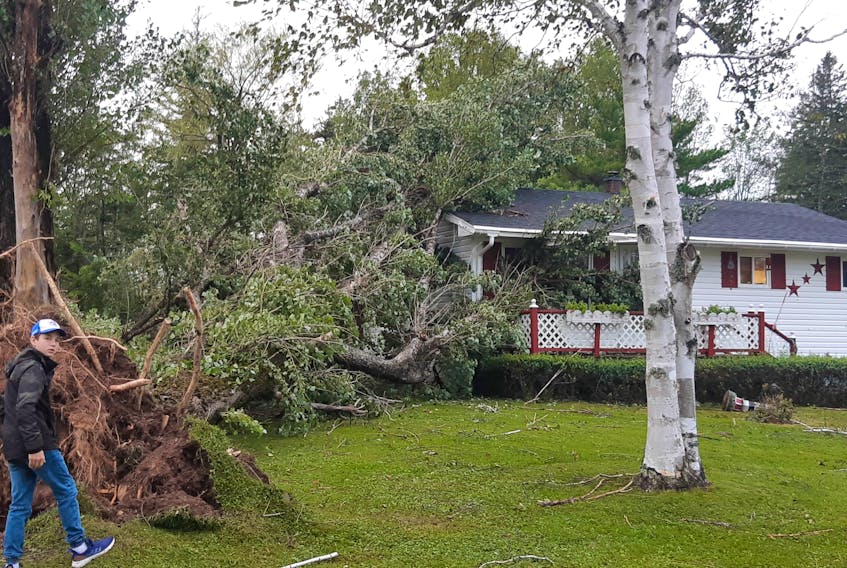 Jonathan Hendsbee sent us this photo of a tree that fell on his parent’s home on Scotch Hill Road. CONTRIBUTED