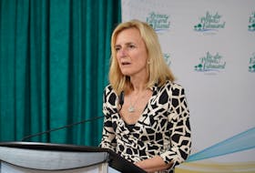 Chief public health officer Dr. Heather Morrison gives an update on the coronavirus (COVID-19) during a news conference on March 26, 2020.