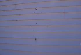 A vertical pattern of bullet holes and possible shrapnel can be seen on one wall of the Onslow Belmont Fire Hall.