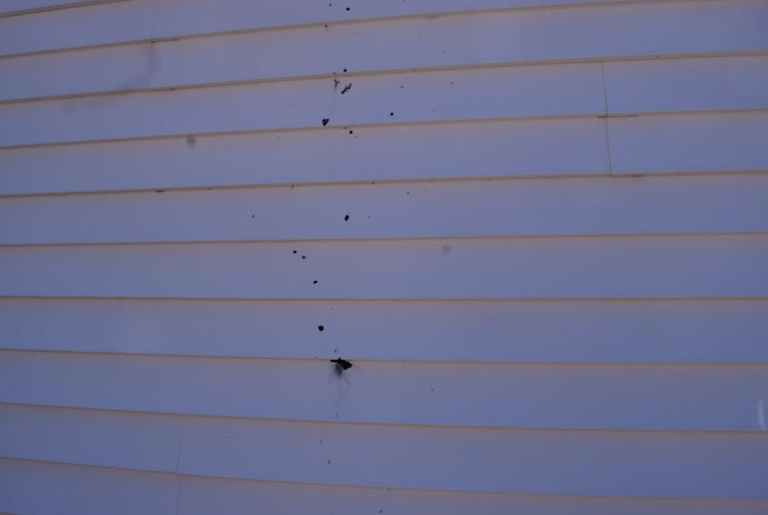 A vertical pattern of bullet holes and possible shrapnel can be seen on one wall of the Onslow Belmont Fire Hall.