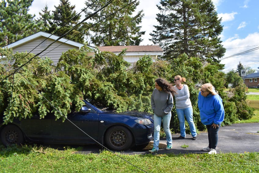 A large evergreen tree fell on Kay Brown's car in Westville. From left are Charmaine Harris, Heather Brown and Kay Brown