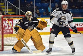 Kevin Mandolese of the Cape Breton Eagles, left, watches the play as Liam Peyton of the Charlottetown Islanders stands nearby during Quebec Major Junior Hockey League action at Centre 200 on Tuesday. Mandolese stopped all 32 shots he faced for his first shutout of the season to help guide Cape Breton to a 4-0 win.