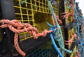 Lobster traps on a wharf. TINA COMEAU PHOTO