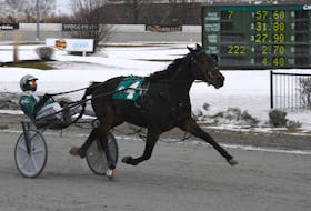 Freddie, with Marc Campbell in the bike, in the stretch drive at Red Shores at the Charlottetown Driving Park in December.