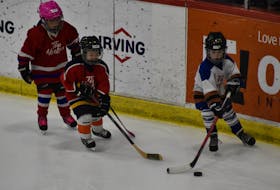 Thirty-one hockey teams visited Wolfville March 11 for the Hannah Miller Memorial Hockey Tournament.